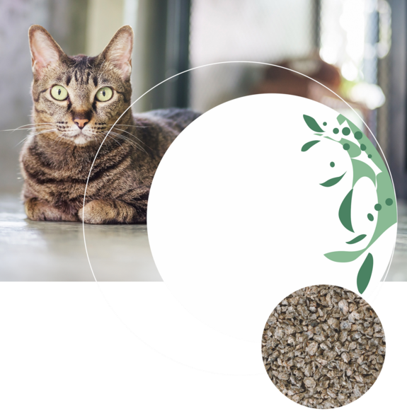 Joe's Cat - klumpende Katzenstreu aus recyceltem Papier